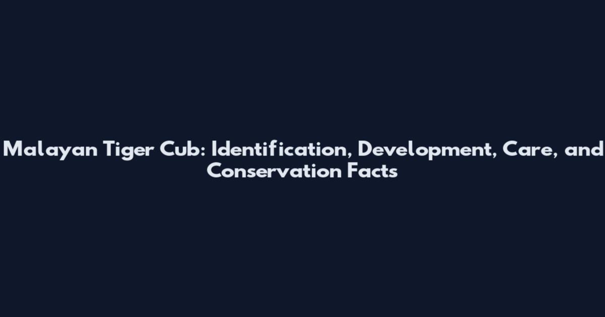 Malayan Tiger Cub: Identification, Development, Care, and Conservation Facts