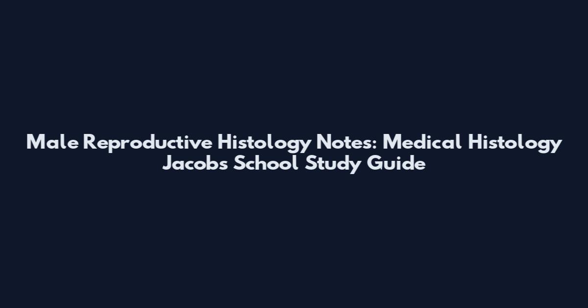 Male Reproductive Histology Notes: Medical Histology Jacobs School Study Guide