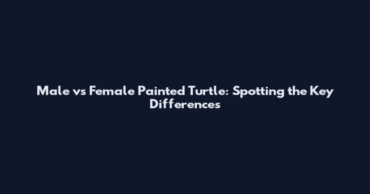 Male vs Female Painted Turtle: Spotting the Key Differences