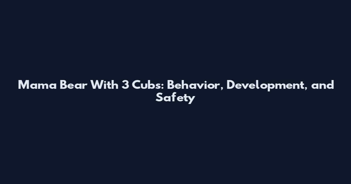 Mama Bear With 3 Cubs: Behavior, Development, and Safety