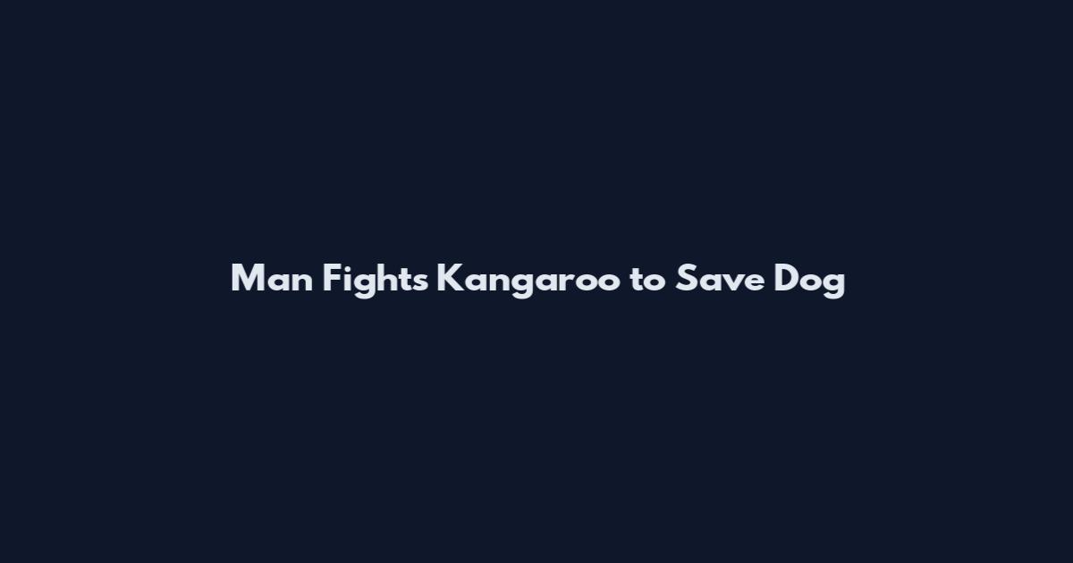 Man Fights Kangaroo to Save Dog