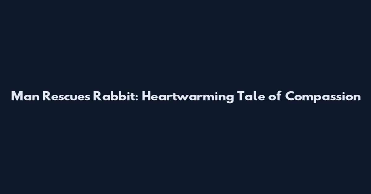 Man Rescues Rabbit: Heartwarming Tale of Compassion