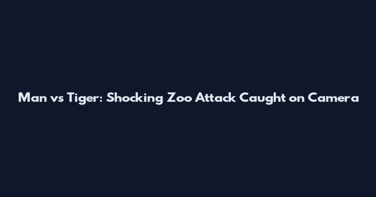 Man vs Tiger: Shocking Zoo Attack Caught on Camera