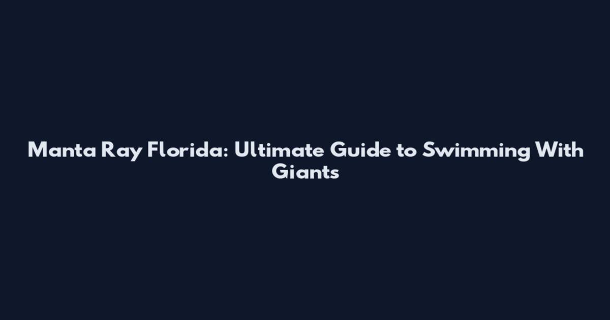 Manta Ray Florida: Ultimate Guide to Swimming With Giants
