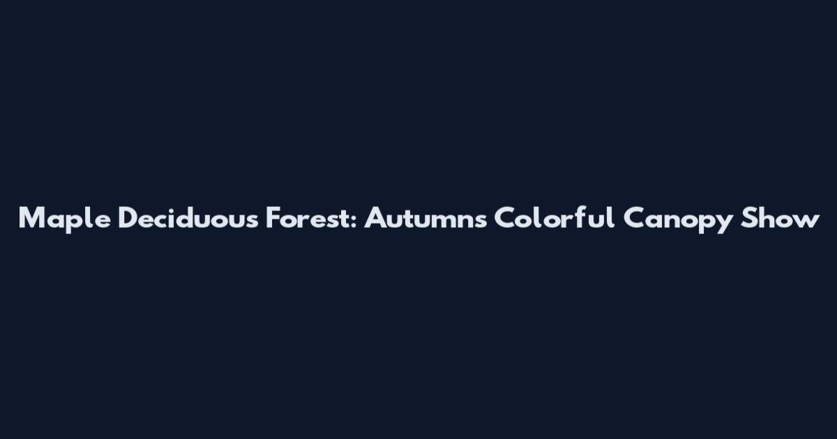 Maple Deciduous Forest: Autumn's Colorful Canopy Show