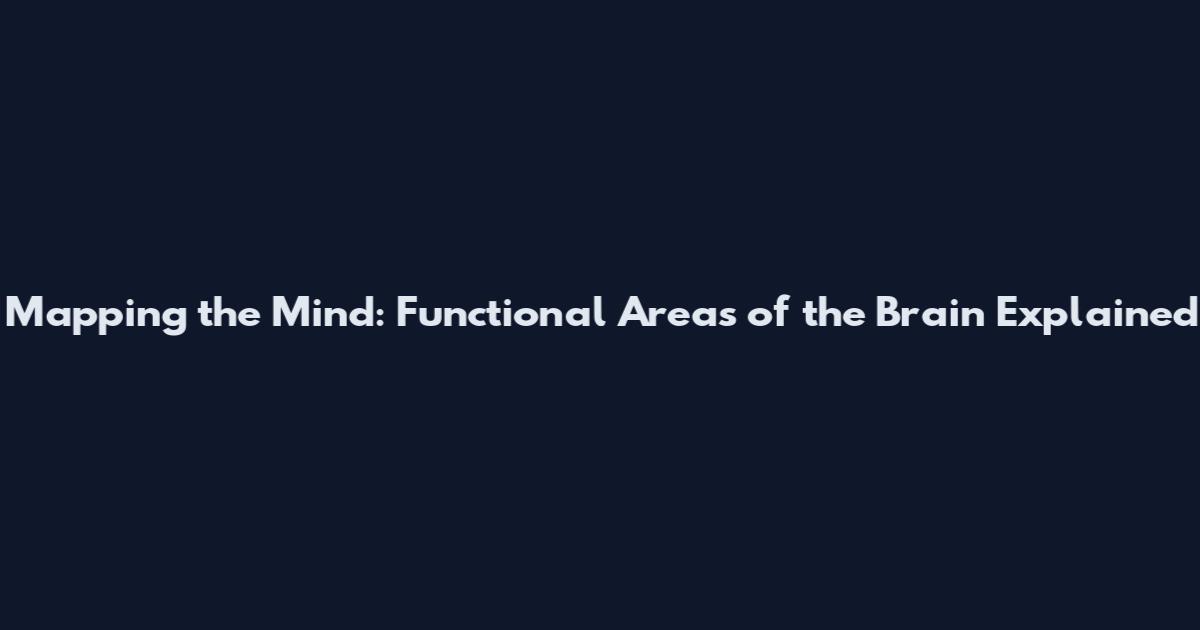 Mapping the Mind: Functional Areas of the Brain Explained