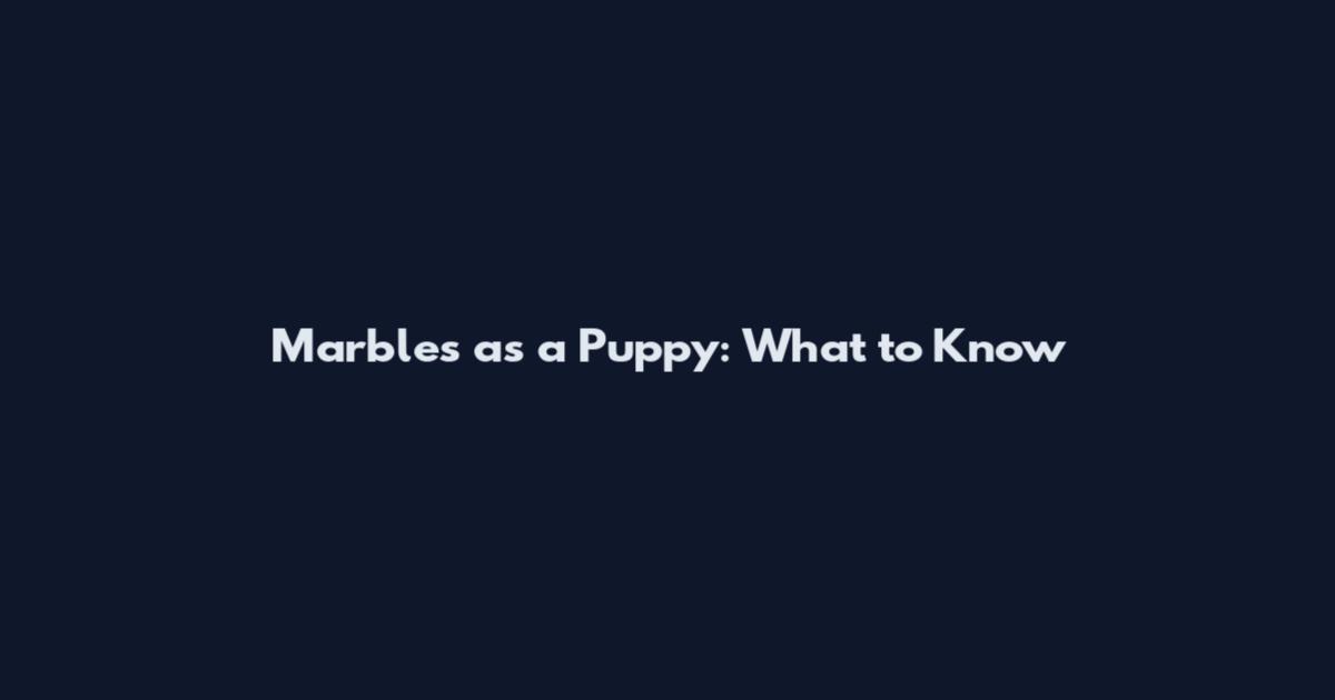 Marbles as a Puppy: What to Know