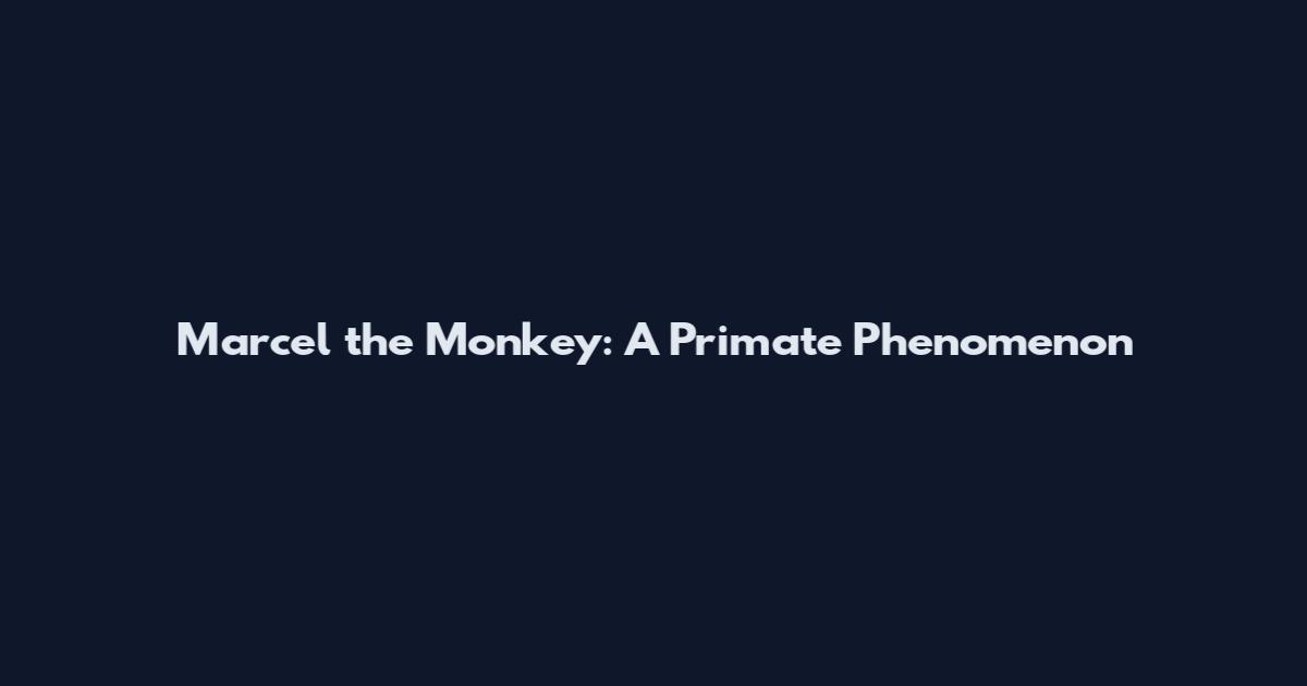 Marcel the Monkey: A Primate Phenomenon