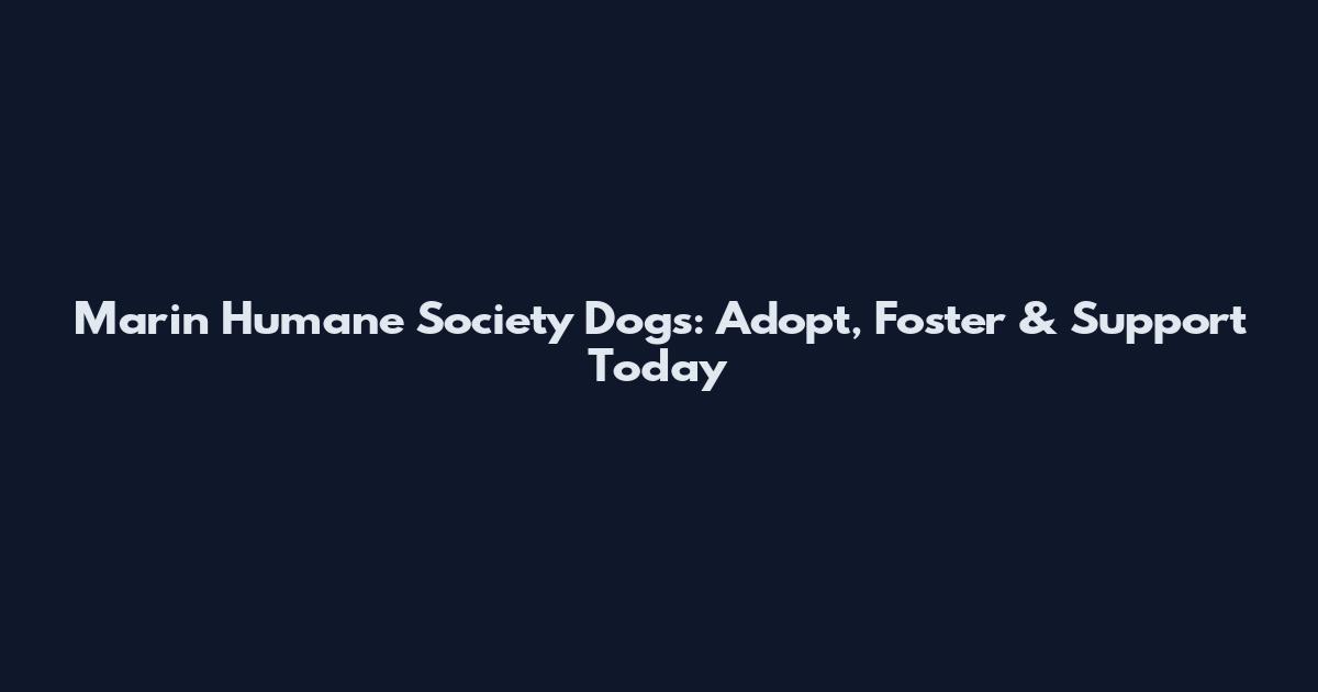 Marin Humane Society Dogs: Adopt, Foster & Support Today