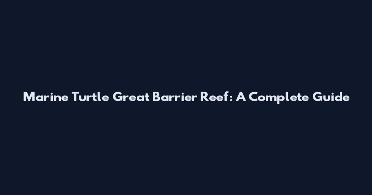 Marine Turtle Great Barrier Reef: A Complete Guide