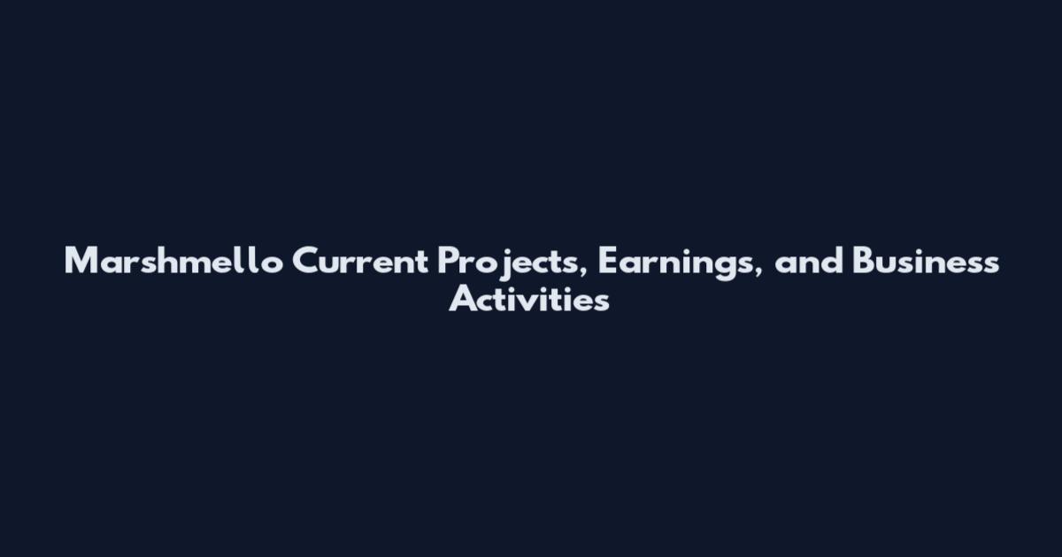 Marshmello Current Projects, Earnings, and Business Activities