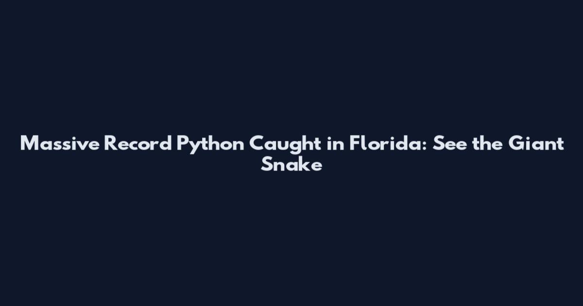 Massive Record Python Caught in Florida: See the Giant Snake