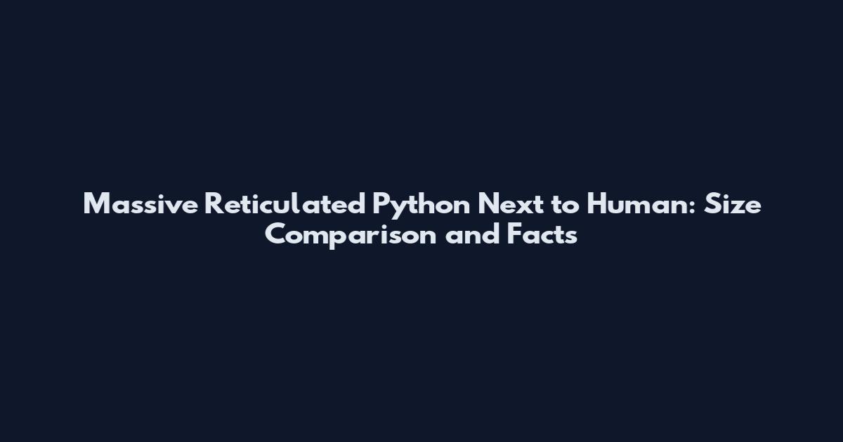 Massive Reticulated Python Next to Human: Size Comparison and Facts