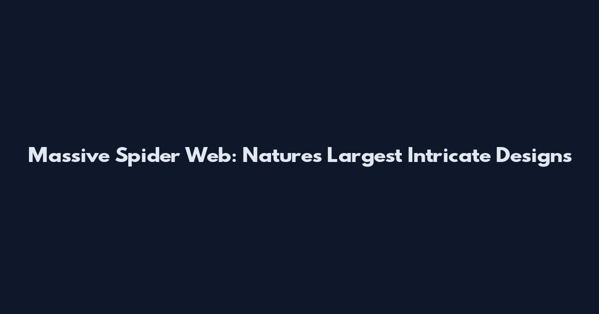 Massive Spider Web: Nature's Largest Intricate Designs