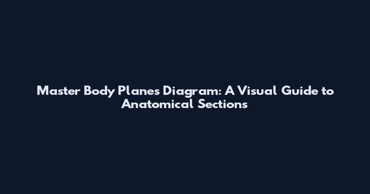 Master Body Planes Diagram: A Visual Guide to Anatomical Sections
