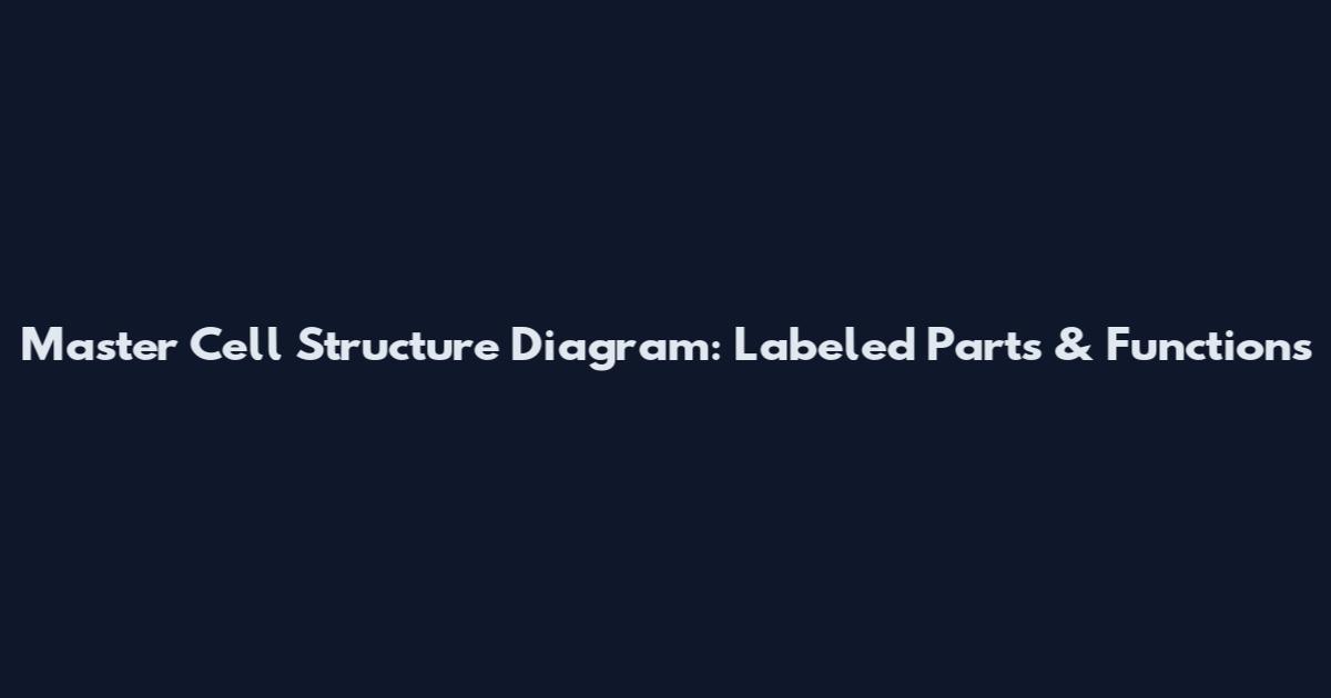 Master Cell Structure Diagram: Labeled Parts & Functions