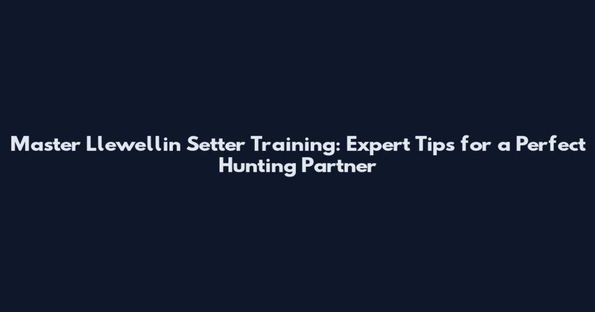 Master Llewellin Setter Training: Expert Tips for a Perfect Hunting Partner