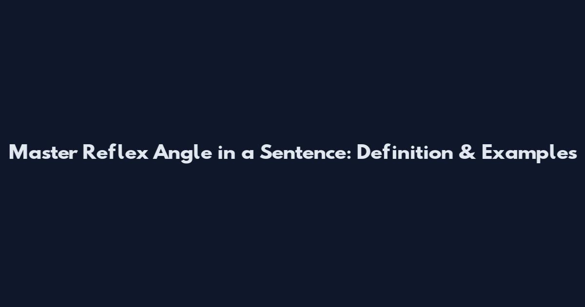 Master Reflex Angle in a Sentence: Definition & Examples