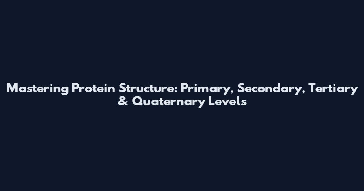 Mastering Protein Structure: Primary, Secondary, Tertiary & Quaternary Levels