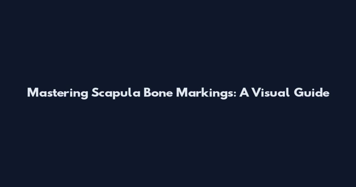 Mastering Scapula Bone Markings: A Visual Guide