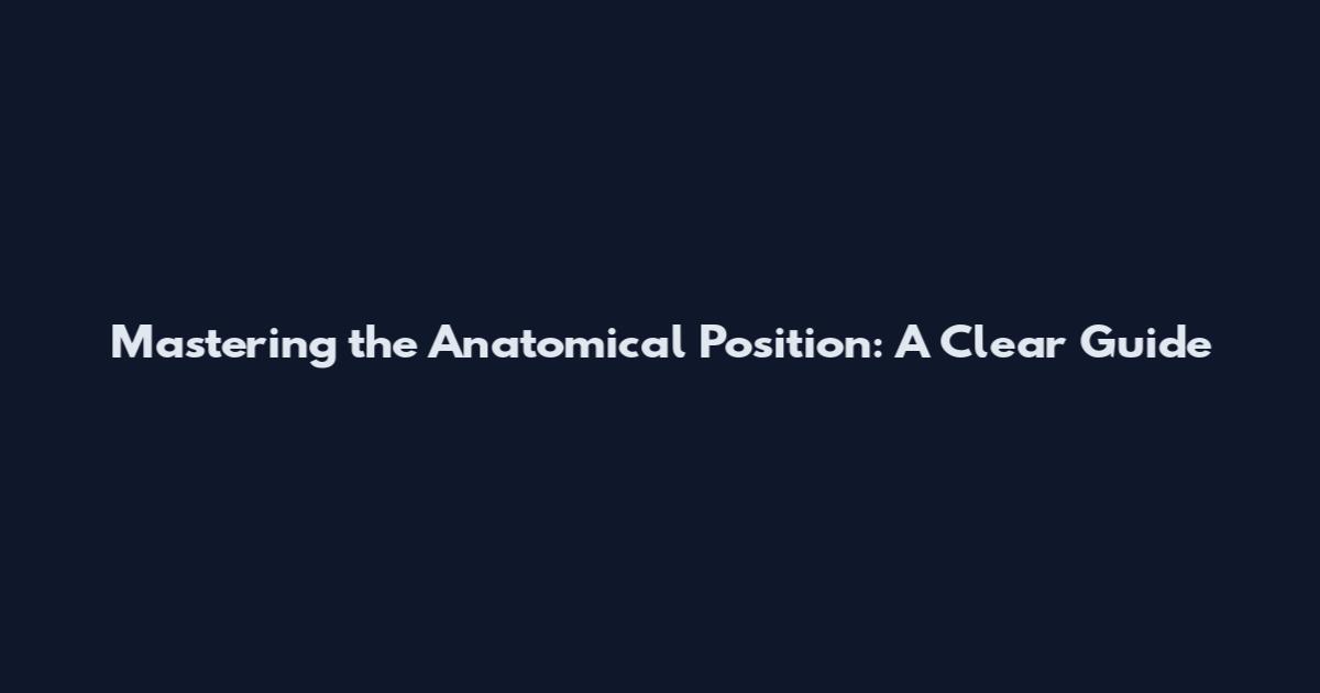Mastering the Anatomical Position: A Clear Guide