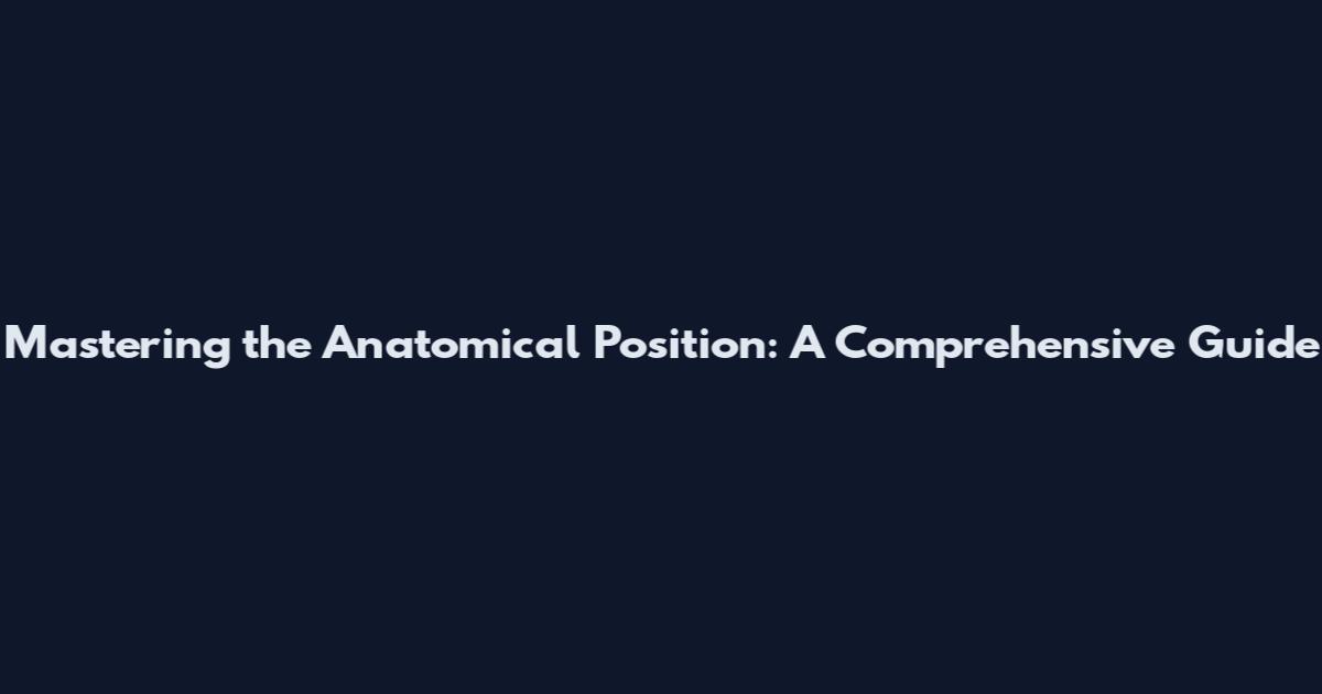 Mastering the Anatomical Position: A Comprehensive Guide