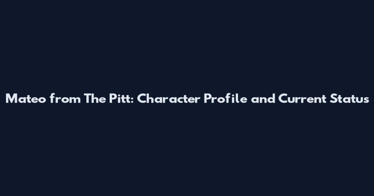 Mateo from The Pitt: Character Profile and Current Status