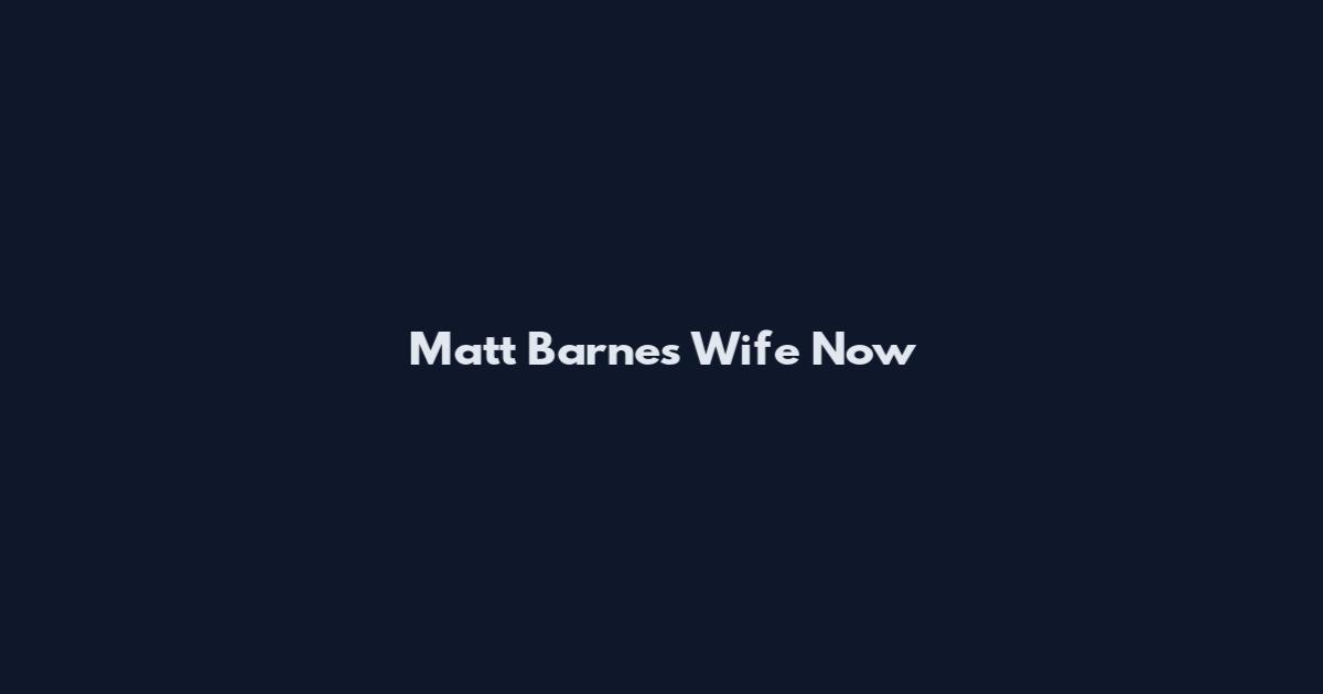 Matt Barnes Wife Now