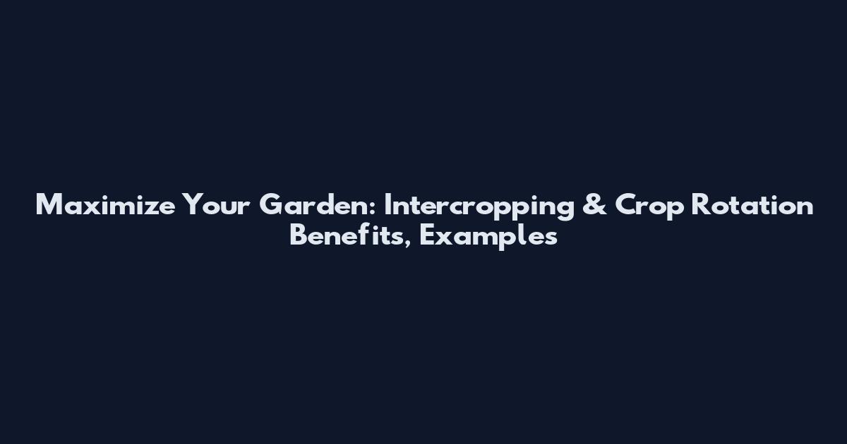 Maximize Your Garden: Intercropping & Crop Rotation Benefits, Examples