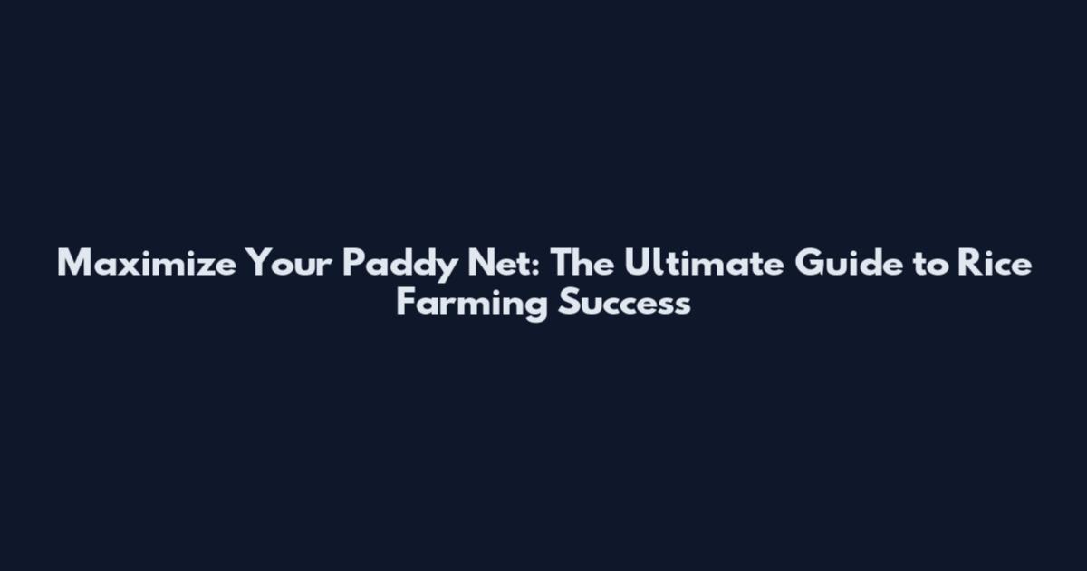 Maximize Your Paddy Net: The Ultimate Guide to Rice Farming Success