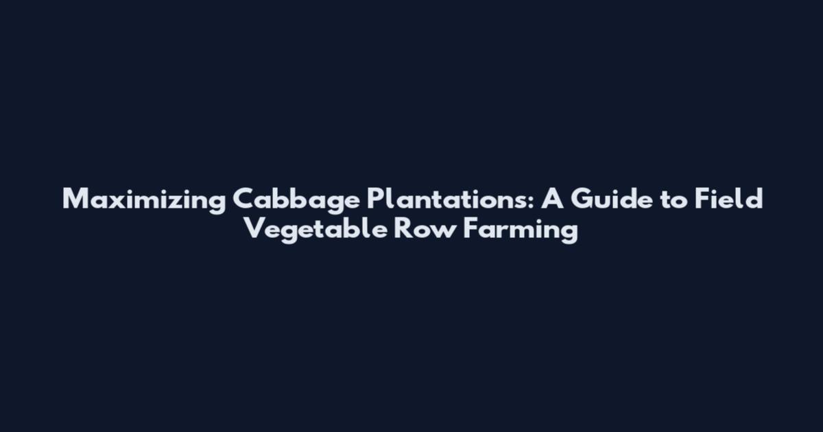 Maximizing Cabbage Plantations: A Guide to Field Vegetable Row Farming
