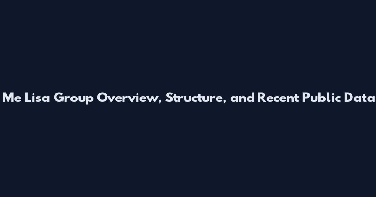 Me Lisa Group Overview, Structure, and Recent Public Data