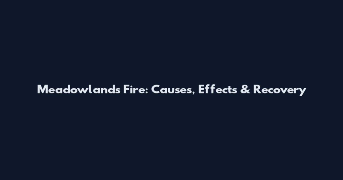 Meadowlands Fire: Causes, Effects & Recovery