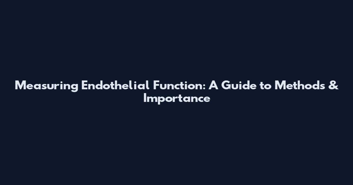 Measuring Endothelial Function: A Guide to Methods & Importance