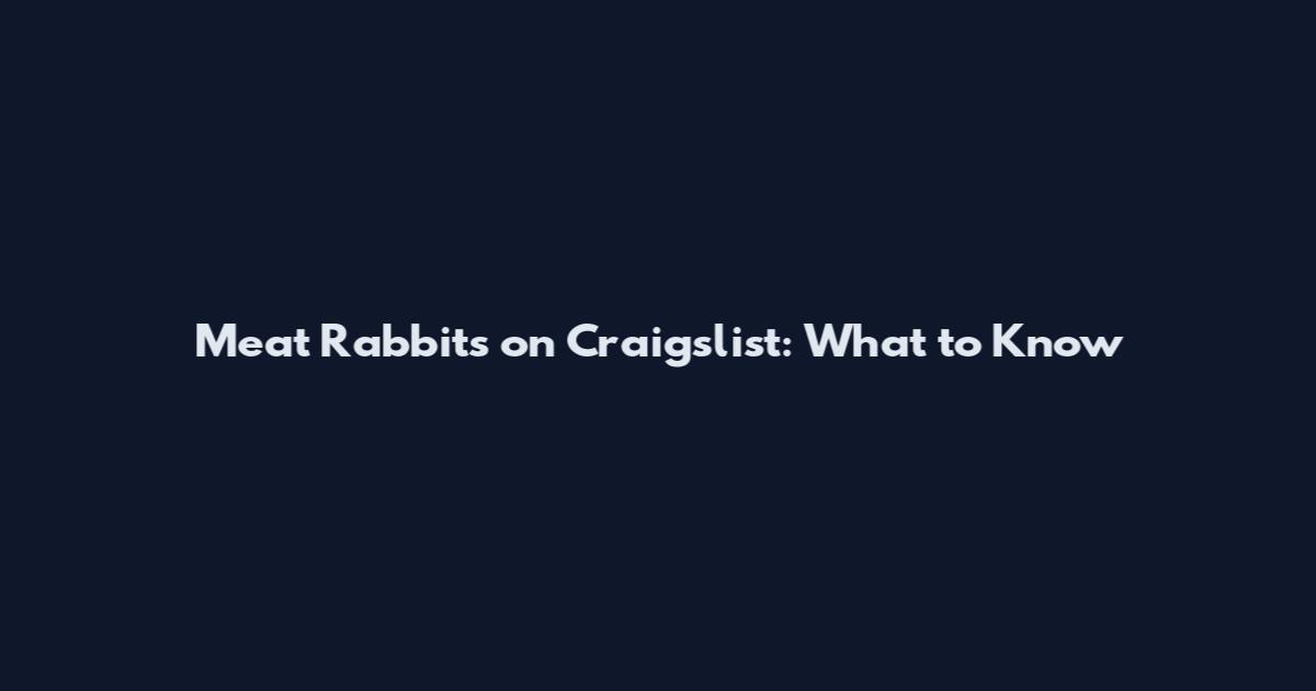 Meat Rabbits on Craigslist: What to Know