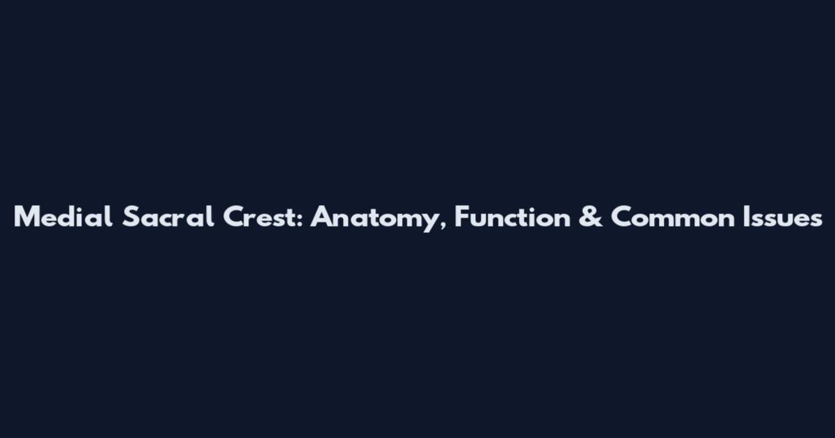 Medial Sacral Crest: Anatomy, Function & Common Issues