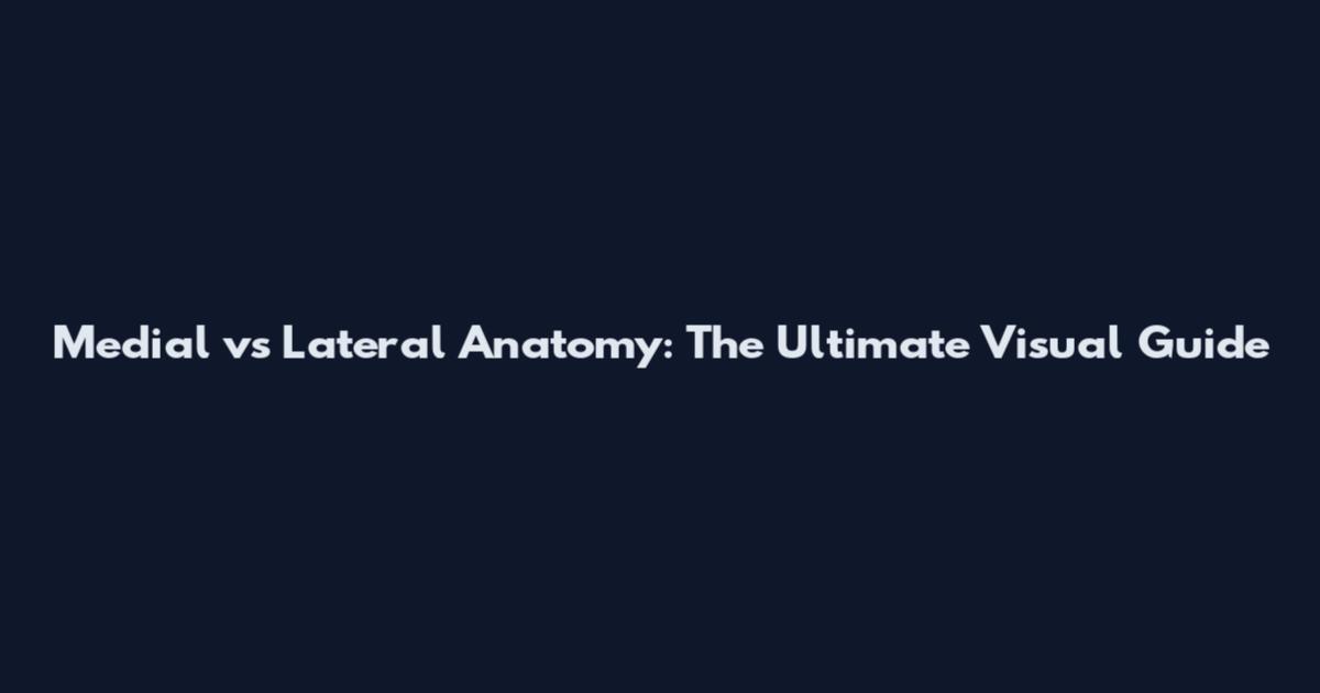 Medial vs Lateral Anatomy: The Ultimate Visual Guide