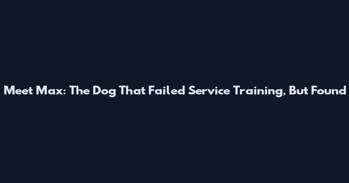 Meet Max: The Dog That Failed Service Training, But Found