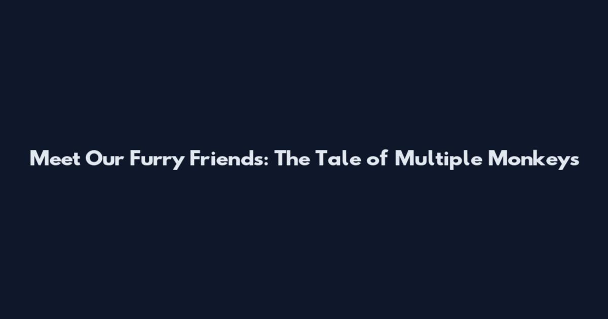 Meet Our Furry Friends: The Tale of Multiple Monkeys