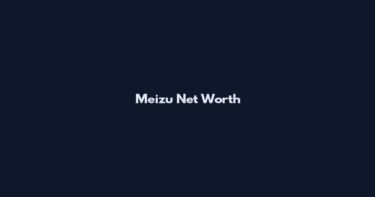 Meizu Net Worth