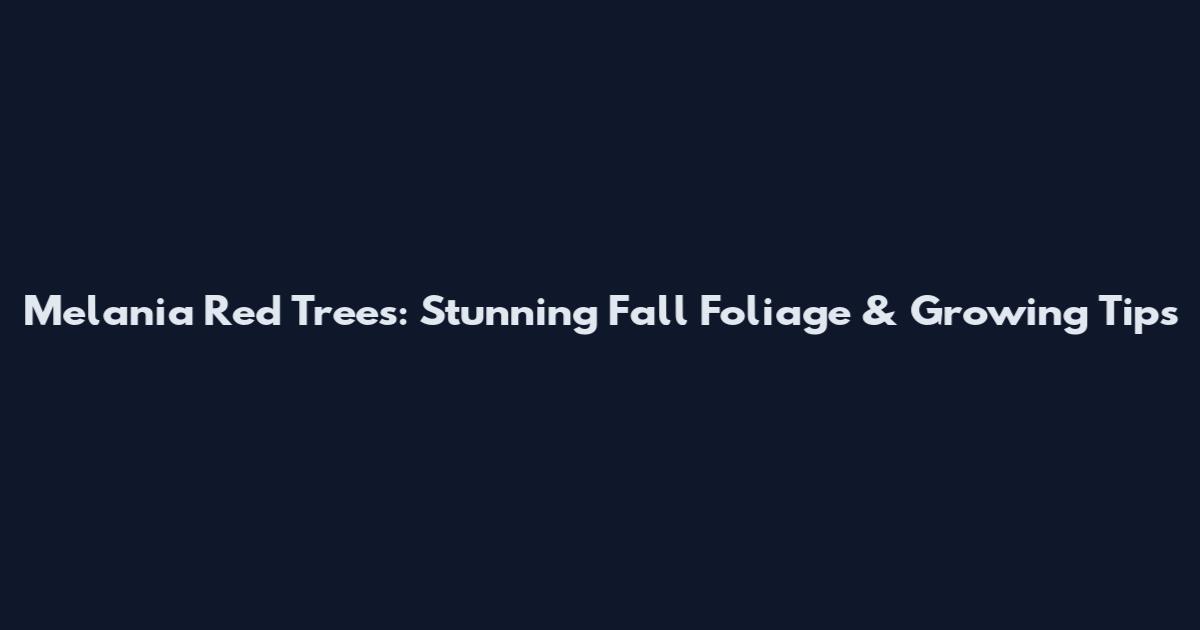Melania Red Trees: Stunning Fall Foliage & Growing Tips