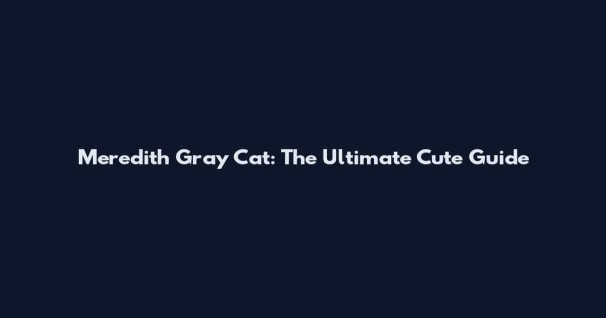 Meredith Gray Cat: The Ultimate Cute Guide