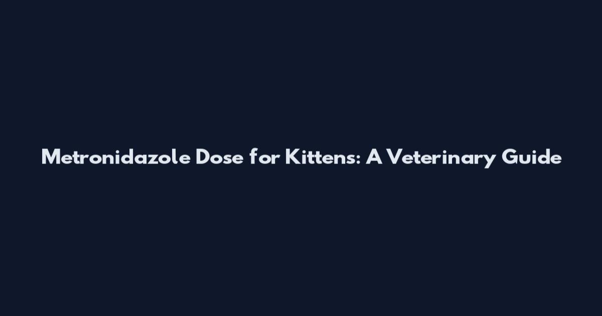 Metronidazole Dose for Kittens: A Veterinary Guide