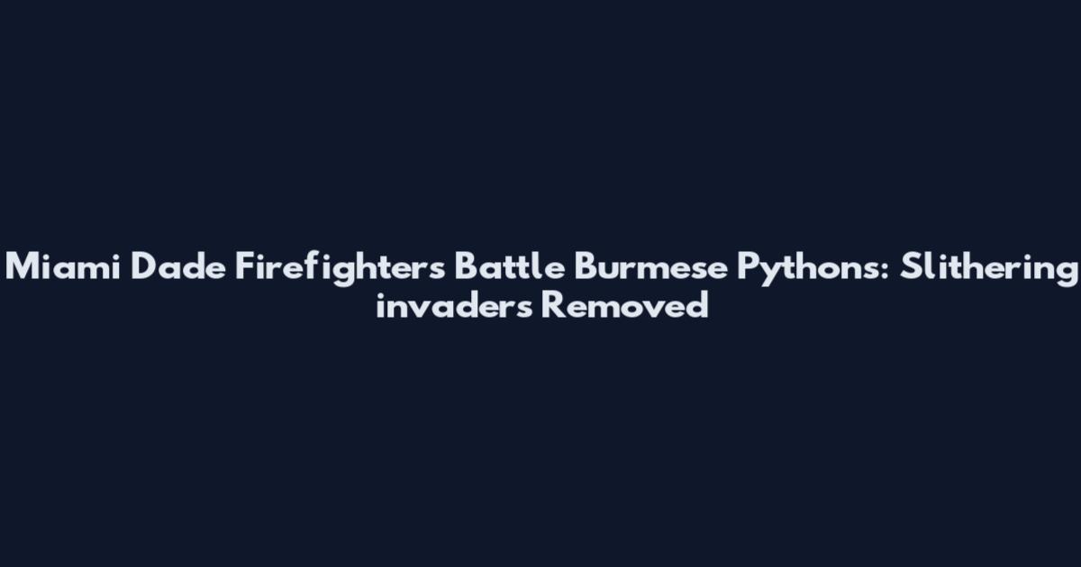 Miami Dade Firefighters Battle Burmese Pythons: Slithering invaders Removed