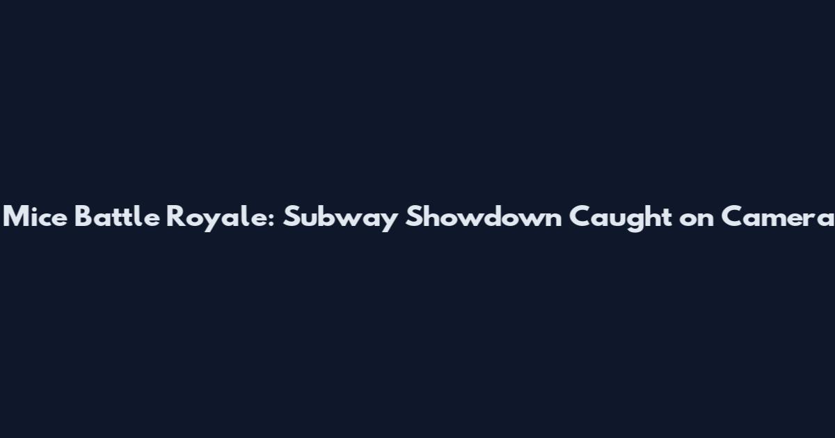 Mice Battle Royale: Subway Showdown Caught on Camera