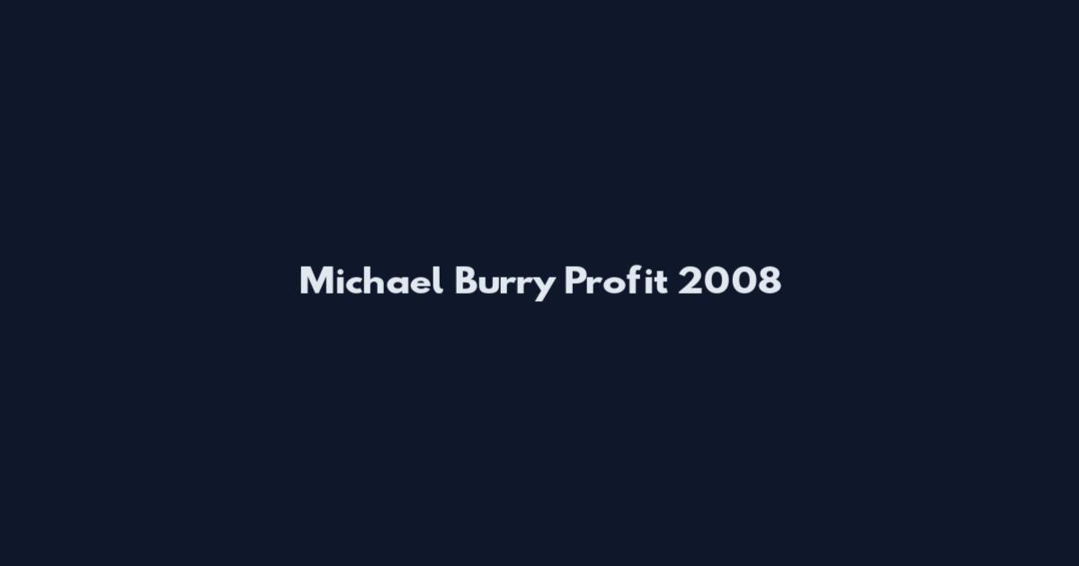 Michael Burry Profit 2008