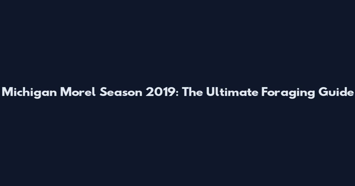 Michigan Morel Season 2019: The Ultimate Foraging Guide