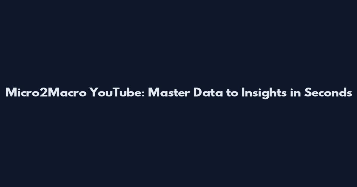 Micro2Macro YouTube: Master Data to Insights in Seconds