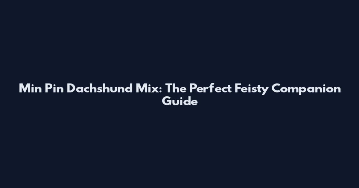 Min Pin Dachshund Mix: The Perfect Feisty Companion Guide