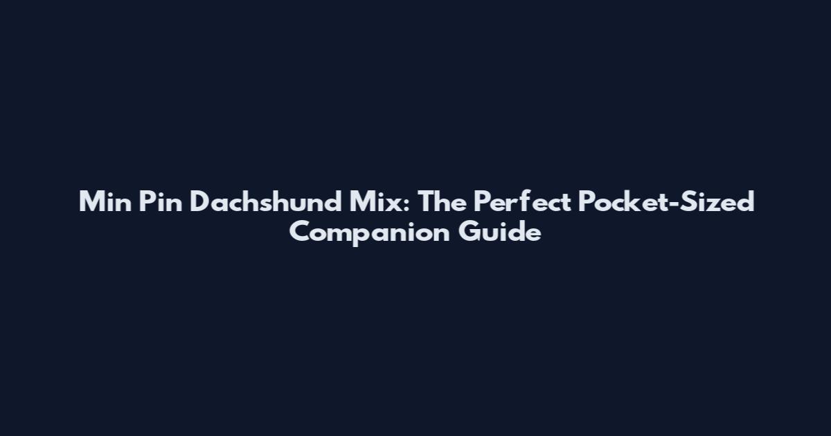 Min Pin Dachshund Mix: The Perfect Pocket-Sized Companion Guide